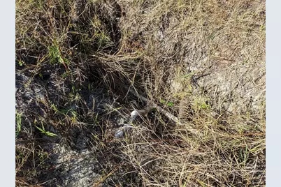 4159 Sunshine Boulevard, Saint James City, FL 33956 - Photo 11