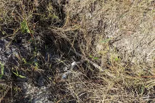 4159 Sunshine Blvd, Saint James City, FL 33956 - Photo 11