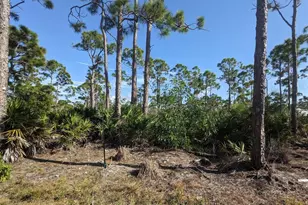 4159 Sunshine Blvd, Saint James City, FL 33956 - Photo 3