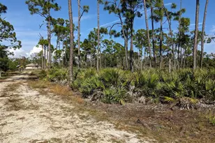 4159 Sunshine Blvd, Saint James City, FL 33956 - Photo 5