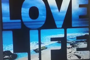 286 Daylily Blvd, Nokomis, FL 34275 - Photo 99