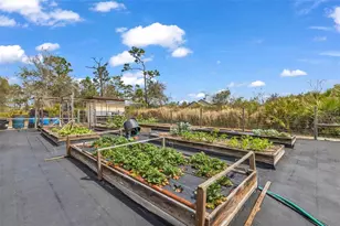 29350 Sam Way, Punta Gorda, FL 33982 - Photo 49