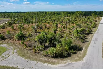 Wild Court, North Port, FL 34288 - Photo 1