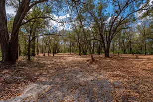 SE Hwy 31, Arcadia, FL 34266 - Photo 1