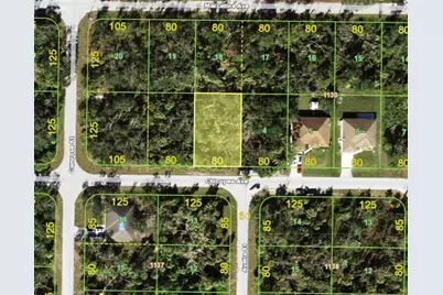 16336 Chicopee Avenue, Port Charlotte, FL 33954 - Photo 1