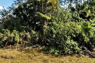 Bolus, North Port, FL 34288 - Photo 1