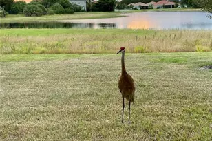 24439 Riverfront Dr, Punta Gorda, FL 33980 - Photo 79