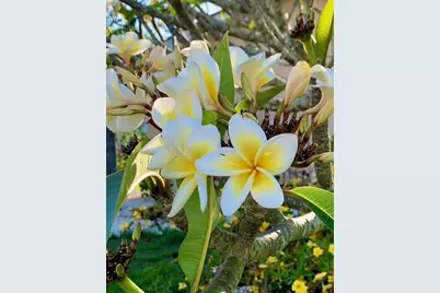 391 Via Esplanade, Punta Gorda, FL 33950 - Photo 55