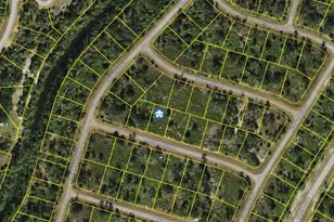Lot 14 Morrisette Ln, North Port, FL 34288 - Photo 1