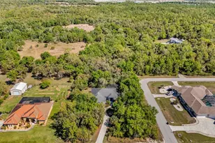 11899 SW Darcy Dr, Lake Suzy, FL 34269 - Photo 79