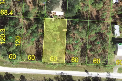 27408 Mandalay Drive, Punta Gorda, FL 33955 - Photo 1