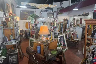 117 Herald Ct, Punta Gorda, FL 33950 - Photo 7