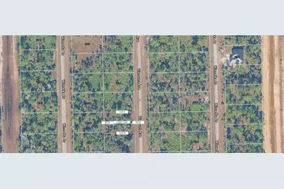 2145 Viscount Avenue, Lehigh Acres, FL 33972 - Photo 3