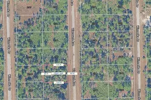 2145 Viscount Ave, Lehigh Acres, FL 33972 - Photo 3