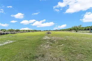 1321 Bluff Hammock Rd, Lorida, FL 33857 - Photo 37