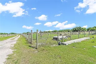 1321 Bluff Hammock Rd, Lorida, FL 33857 - Photo 53