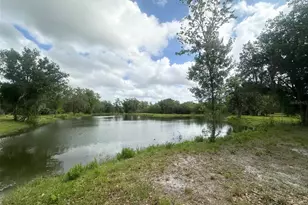 5134 SW Oakwood Ave, Arcadia, FL 34269 - Photo 65