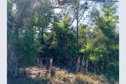 274 Sweetwater Drive, Rotonda West, FL 33947 - Photo 13