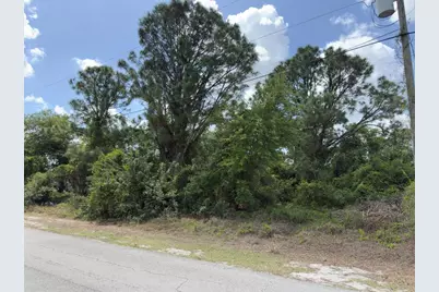 4529 28th Street SW, Lehigh Acres, FL 33973 - Photo 5