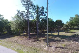 2324 W Price Blvd, North Port, FL 34286 - Photo 43