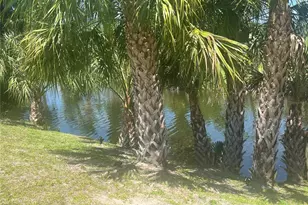 21212 Burkhart Dr, Port Charlotte, FL 33952 - Photo 41