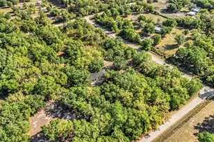 3309 SW Gopher Trail, Arcadia, FL 34266 - Photo 77