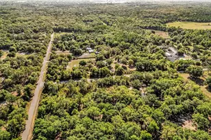 3309 SW Gopher Trail, Arcadia, FL 34266 - Photo 71