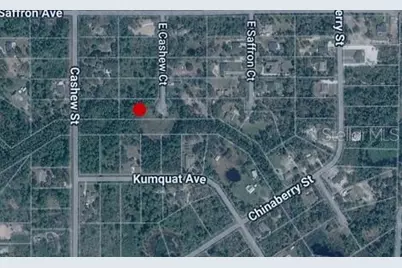 E Cashew Court, Eustis, FL 32736 - Photo 1