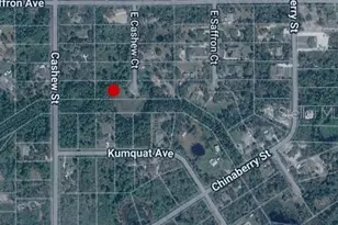 E Cashew Ct, Eustis, FL 32736 - Photo 1