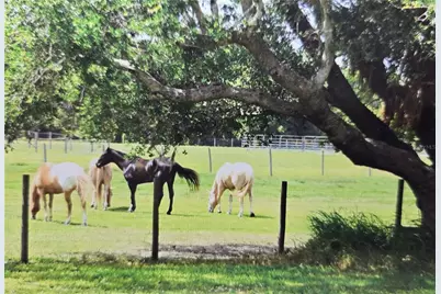 7662 SW Liverpool Road, Arcadia, FL 34269 - Photo 53