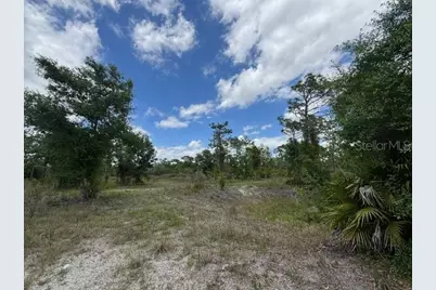 29305 Hazelwood Drive, Punta Gorda, FL 33982 - Photo 17