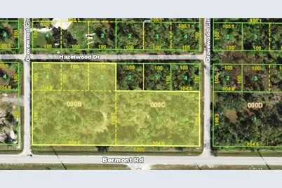 29305 Hazelwood Drive, Punta Gorda, FL 33982 - Photo 5