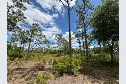 29305 Hazelwood Drive, Punta Gorda, FL 33982 - Photo 13