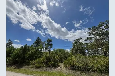 29305 Hazelwood Drive, Punta Gorda, FL 33982 - Photo 7