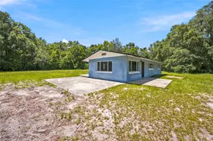 14600 NE 150th Ave, Fort Mc Coy, FL 32134 - Photo 5