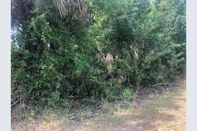 Dandurand Avenue, North Port, FL 34291 - Photo 3