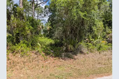 Delight Avenue, North Port, FL 34288 - Photo 3