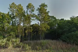 Crimsonglory Rd, North Port, FL 34288 - Photo 1