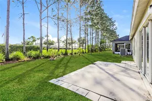 13302 Evening Sunset Ln, Riverview, FL 33579 - Photo 15