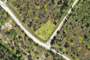 13389 Menorah Dr, Punta Gorda, FL 33955 - Photo 1