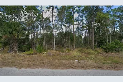 453 Conlee Street, Lehigh Acres, FL 33974 - Photo 1