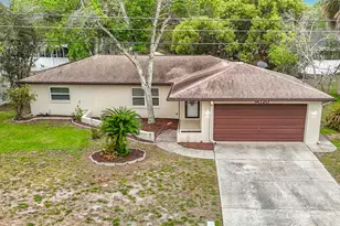 9020 Dorsey St, Spring Hill, FL 34608 - Photo 3