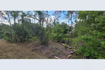 27408 Mandalay Drive, Punta Gorda, FL 33955 - Photo 5