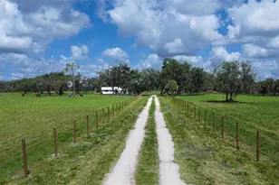 1635 SW Rodgers Ave, Arcadia, FL 34266 - Photo 3
