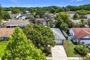 2825 Wendover Terrace, Palm Harbor, FL 34685 - Photo 3