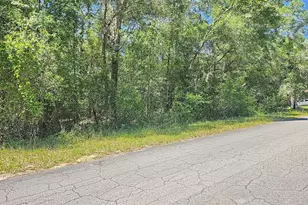6390 E Morley St, Inverness, FL 34452 - Photo 1