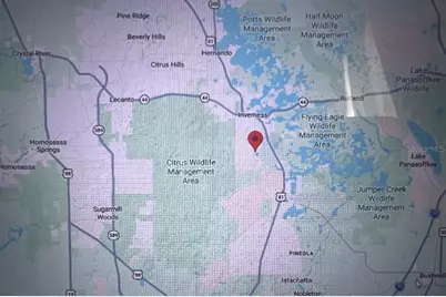 6390 E Morley Street, Inverness, FL 34452 - Photo 5