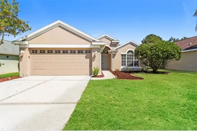 23211 Bayou Grove Street, Land O Lakes, FL 34639 - Photo 1