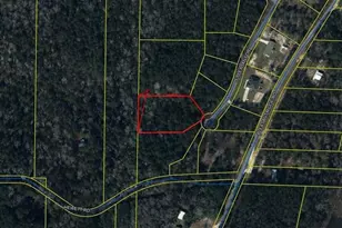 0 S Pleasant Dr, Defuniak Springs, FL 32435 - Photo 1