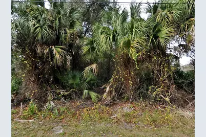 Julia Terrace, North Port, FL 34286 - Photo 3